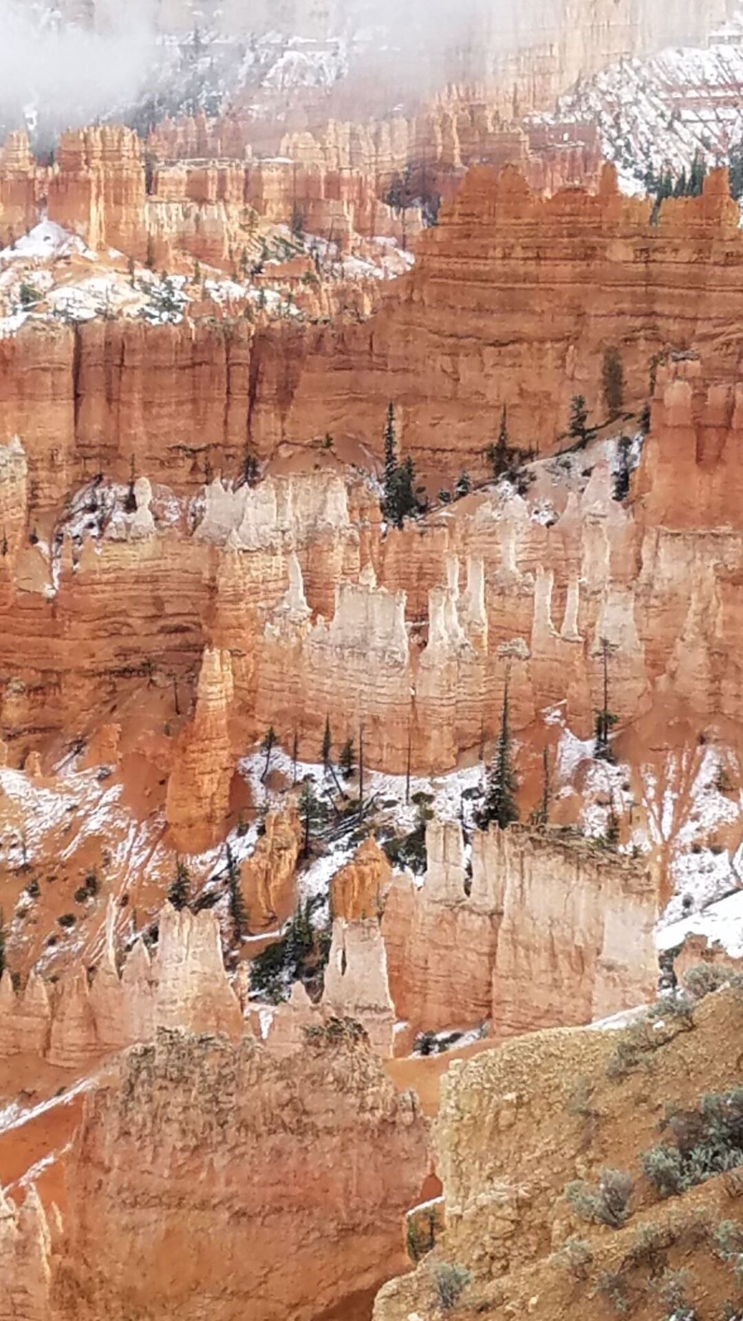 Bryce canyon